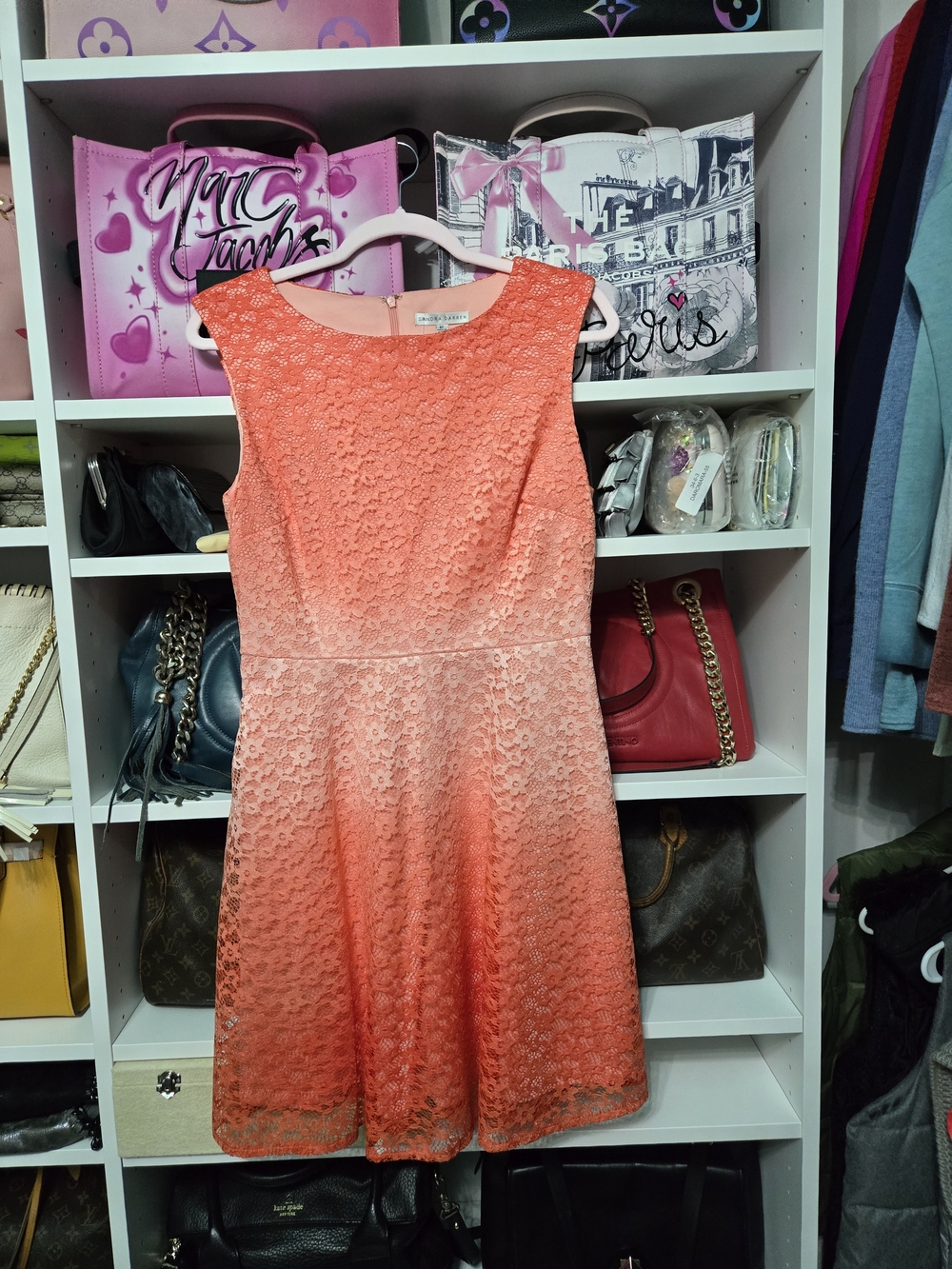Sandra Darren Coral Ombre Lace Fit & Flare Dress